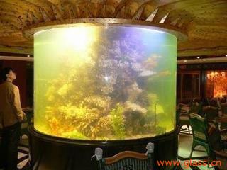 福州圓缸選購指南 價格、廠家與水族箱推薦