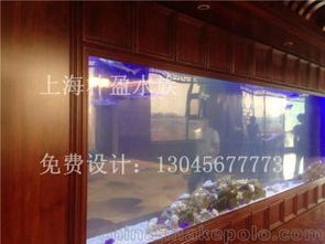 水族箱產(chǎn)業(yè)供應(yīng)鏈解析 從供應(yīng)商、價(jià)格到批發(fā)市場