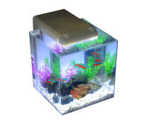 水族箱 家居中的一方靈動(dòng)水域，如何打造與維護(hù)